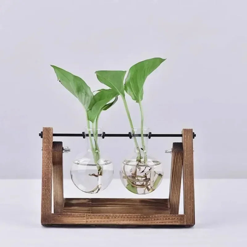 Glass Vase Vintage Bonsai Flower Pot Terrarium Tabletop Tray Wooden Frame