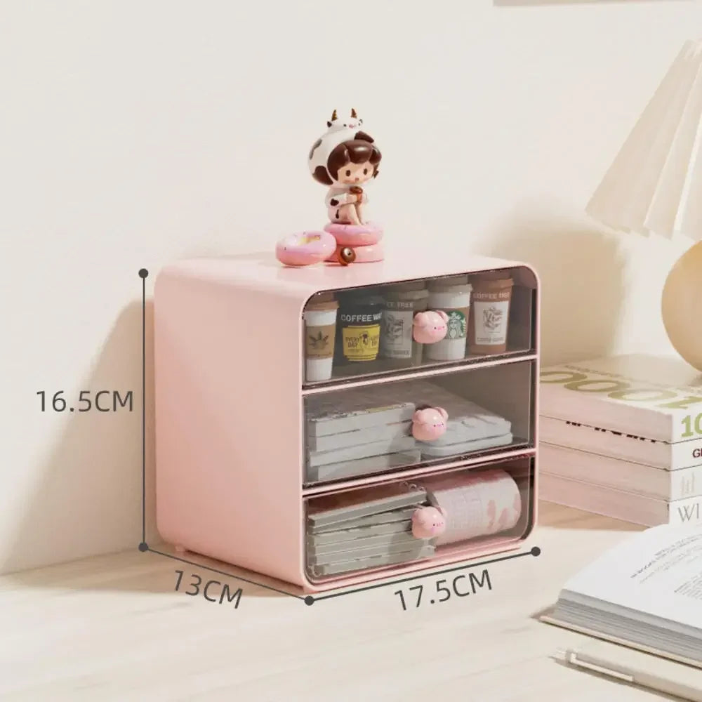 Desktop Drawer Box Pen Holder Hair Accessories Storage Shelf